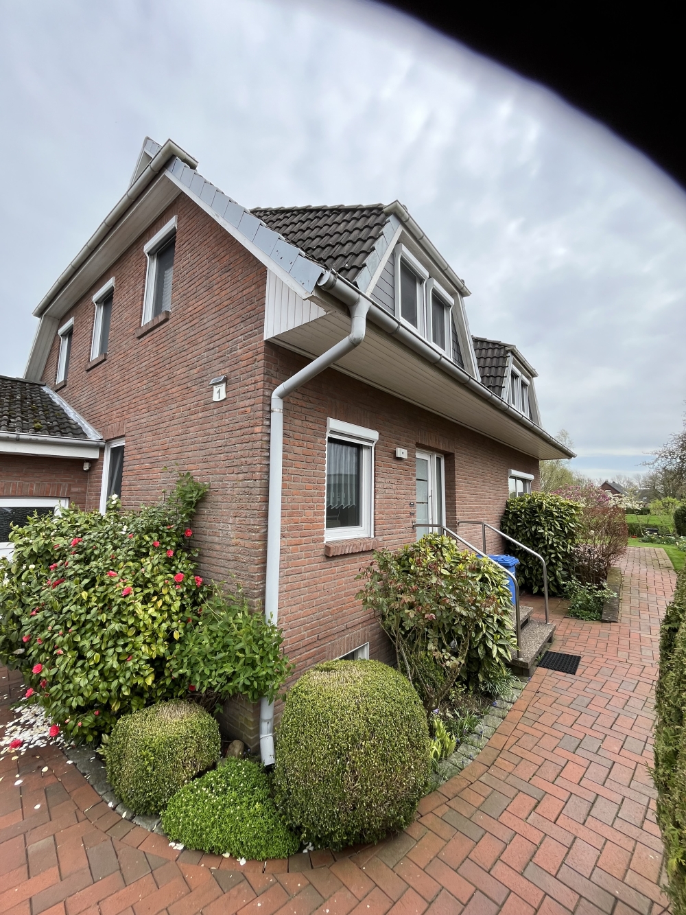 Komplett Sanierung Fenster Rollläden Haustür Wurster Nordseeküste.jpg